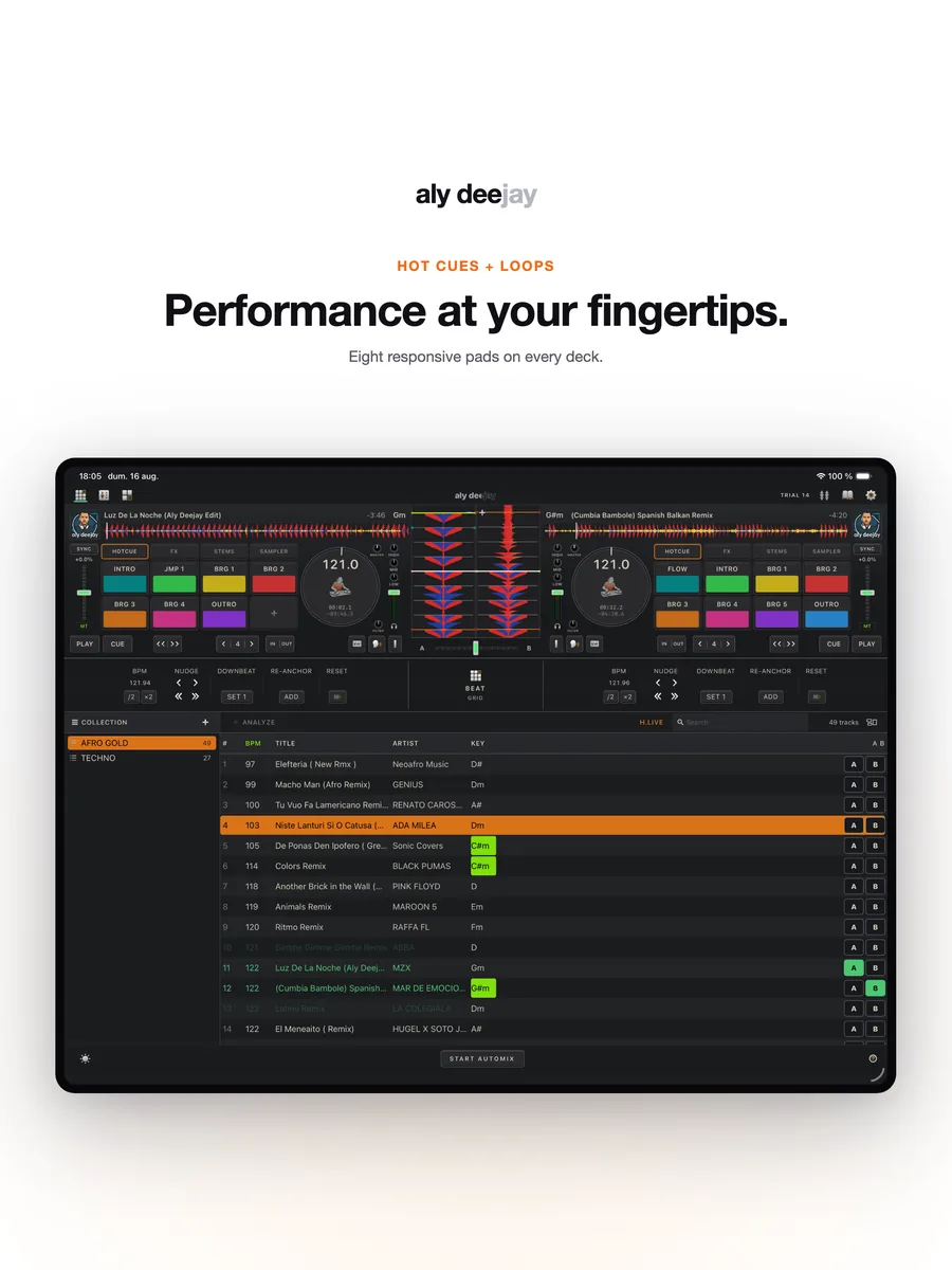 AlyDeejay hot cues and loops on iPad