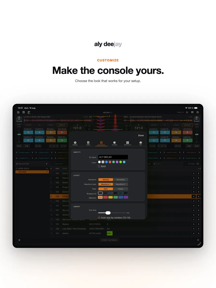 AlyDeejay appearance customization on iPad
